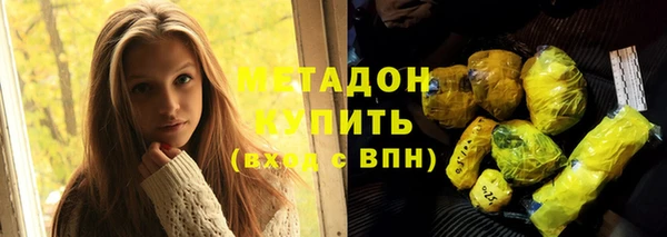 шишки Белокуриха