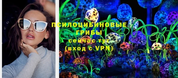 шишки Белокуриха