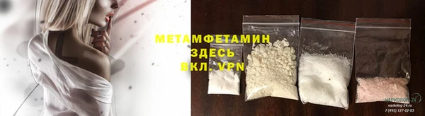 шишки Белокуриха