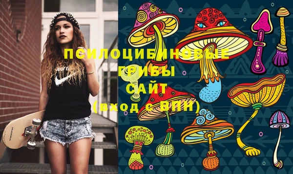 ГАЛЛЮЦИНОГЕННЫЕ ГРИБЫ Заводоуковск