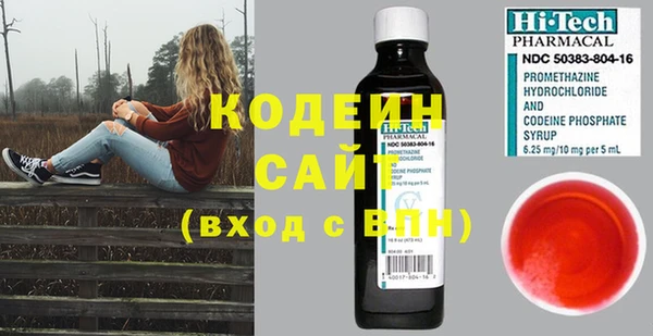 шишки Белокуриха